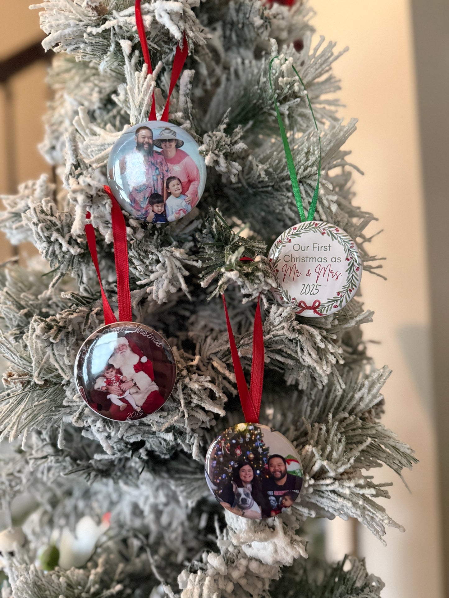 6 Magnet or Ornament Bundle